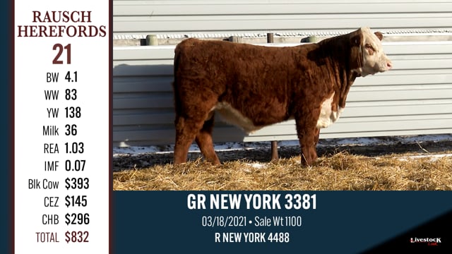Lot #21 - GR NEW YORK 3381
