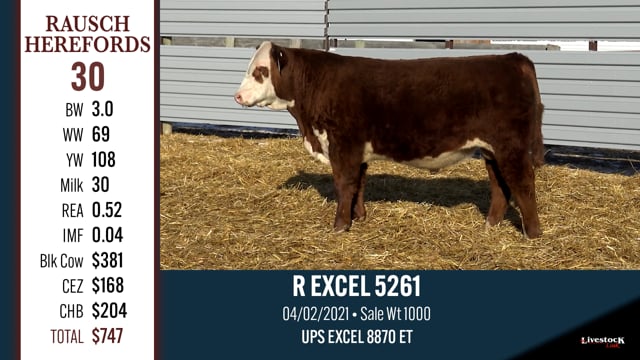 Lot #30 - R EXCEL 5261