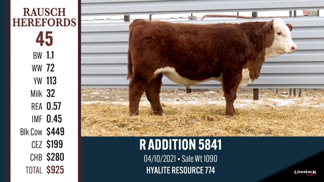 Lot #45 - R ADDITION 5841