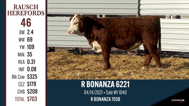 Lot #46 - R BONANZA 6221