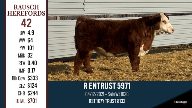 Lot #42 - R ENTRUST 5971