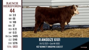 Lot #44 - R ANODIZE 6101