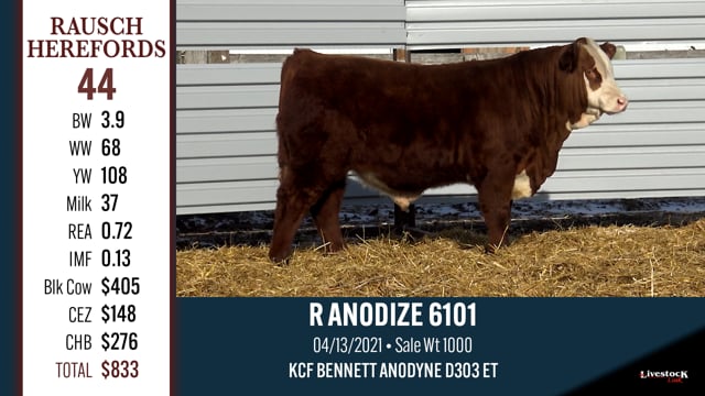 Lot #44 - R ANODIZE 6101