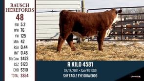 Lot #48 - R KILO 4581