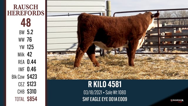 Lot #48 - R KILO 4581