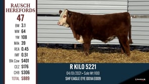 Lot #47 - R KILO 52221
