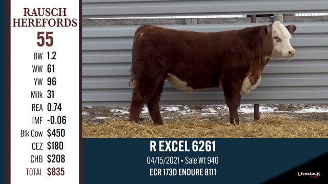 Lot #55 - R EXCEL 6261
