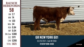 Lot #58 - GR NEW YORK 601