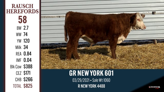 Lot #58 - GR NEW YORK 601