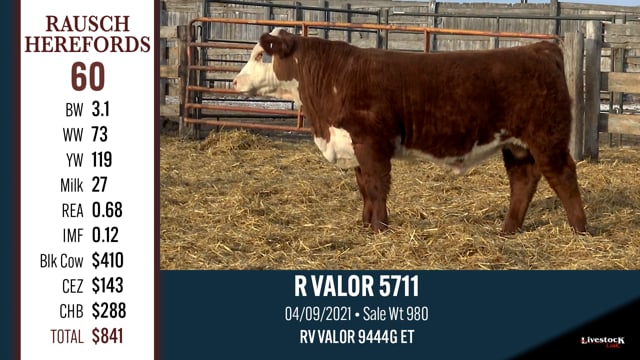 Lot #60 - R VALOR 5711