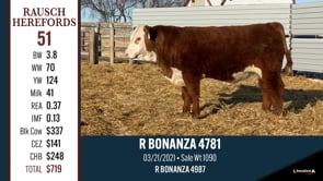 Lot #51 - R BONANZA 4781
