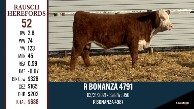 Lot #52 - R BONANZA 4791