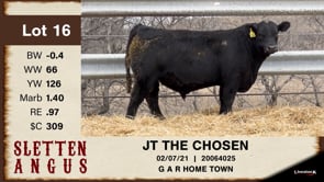 Lot #16 - JT THE CHOSEN