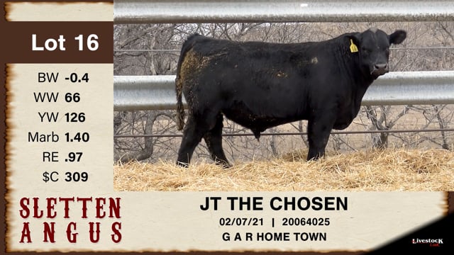 Lot #16 - JT THE CHOSEN
