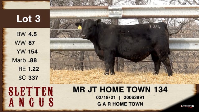 Lot #3 - MR JT HOME TOWN 134