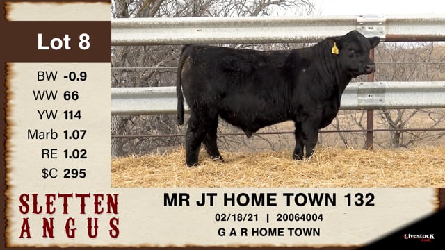 Lot #8 - MR JT HOME TOWN 132