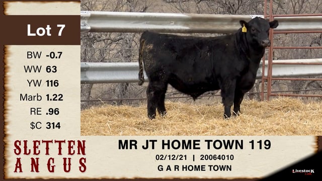 Lot #7 - OUT - MR JT HOME TOWN 119 - OUT