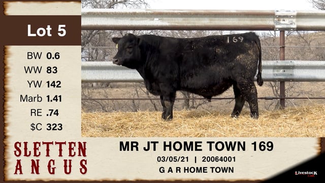 Lot #5 - MR JT HOME TOWN 169
