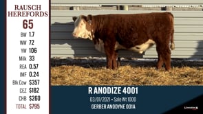 Lot #65 - R ANODIZE 4001
