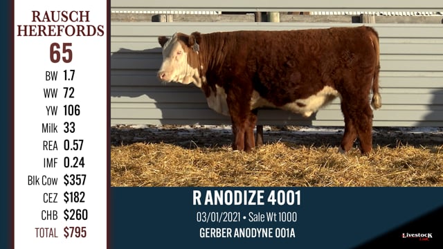 Lot #65 - R ANODIZE 4001