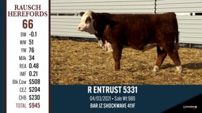Lot #66 - R ENTRUST 5331