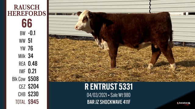 Lot #66 - R ENTRUST 5331