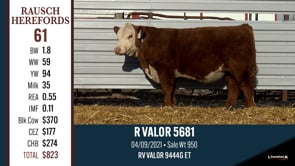 Lot #61 - R VALOR 5681