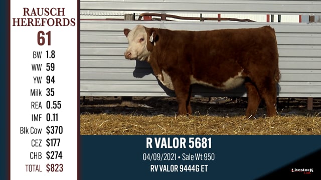 Lot #61 - R VALOR 5681