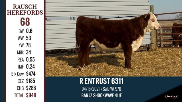 Lot #68 - R ENTRUST 6311