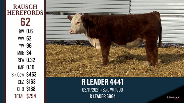 Lot #62 - R LEADER 4441