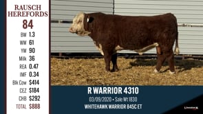 Lot #84 - R WARRIOR 4310