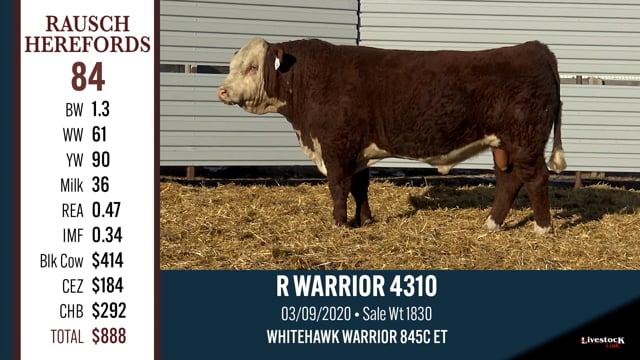 Lot #84 - R WARRIOR 4310