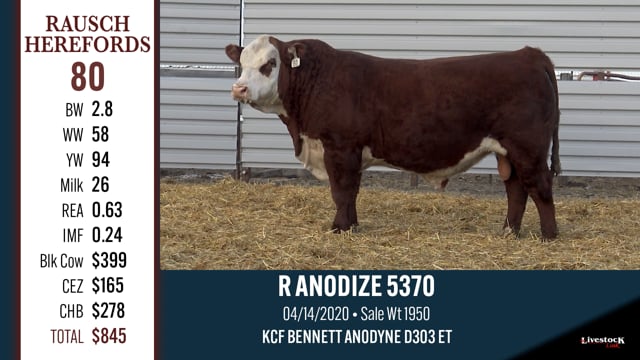 Lot #80 - R ANODIZE 5370