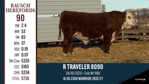 Lot #90 - R TRAVELER 8090