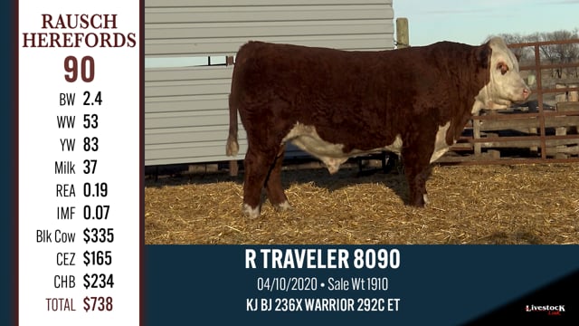 Lot #90 - R TRAVELER 8090