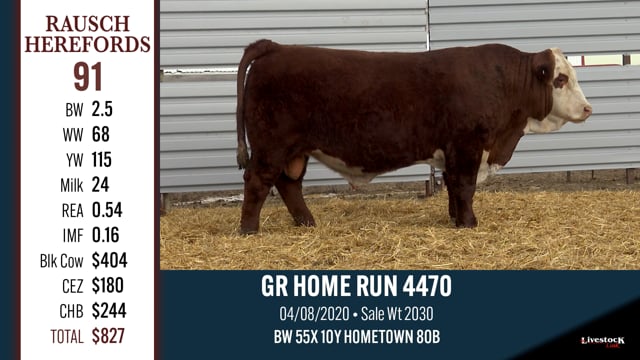 Lot #91 - GR HOME RUN 4470