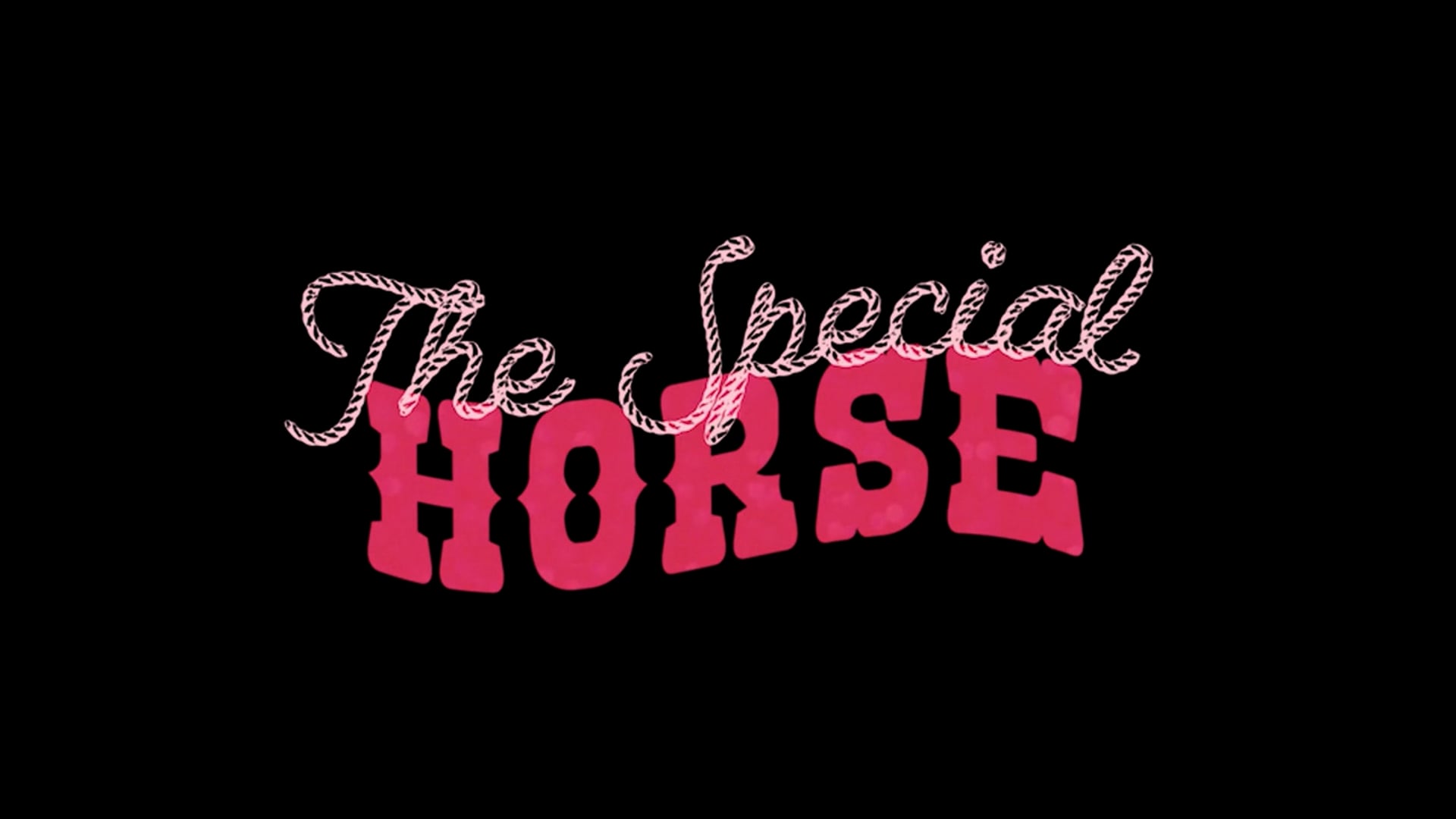 THE SPECIAL HORSE