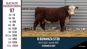 Lot #97 - R BONANZA 5730