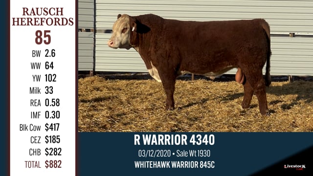 Lot #85 - R WARRIOR 4340