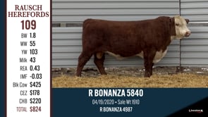 Lot #109 - R BONANZA 5840