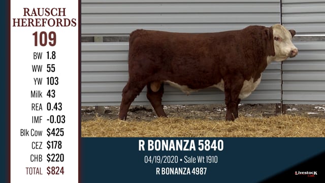 Lot #109 - R BONANZA 5840