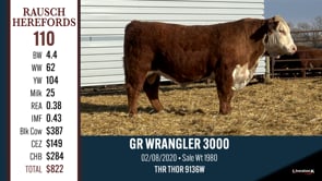Lot #110 - GR WRANGLER 3000