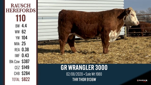 Lot #110 - GR WRANGLER 3000