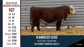 Lot #107 - R ANODIZE 5200
