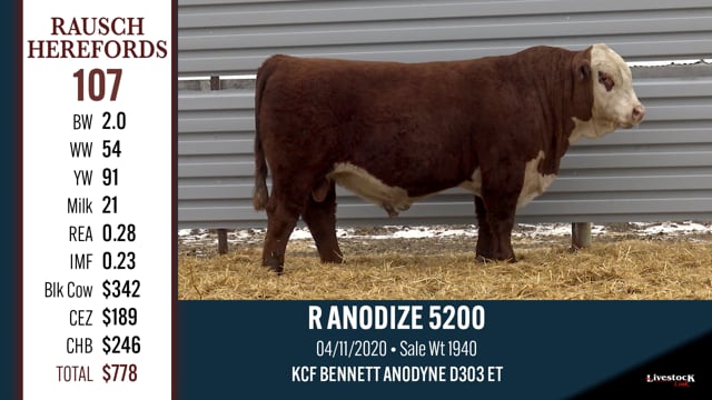 Lot #107 - R ANODIZE 5200