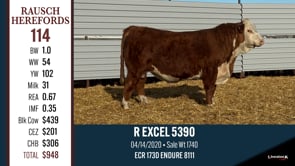 Lot #114 - R EXCEL 5390