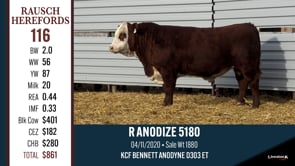Lot #116 - R ANODIZE 5180