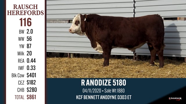 Lot #116 - R ANODIZE 5180