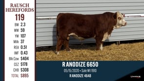 Lot #119 - R ANODIZE 6650