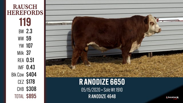 Lot #119 - R ANODIZE 6650